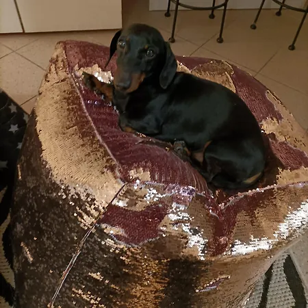 아파트 Labandabassottiferrara Monestirolo