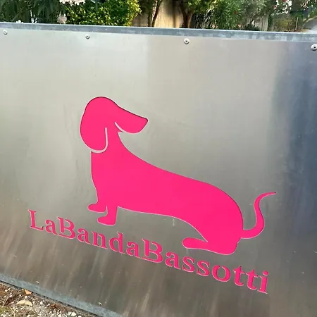 Labandabassottiferrara *