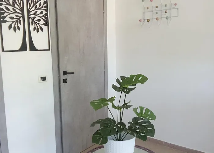 Labandabassottiferrara *