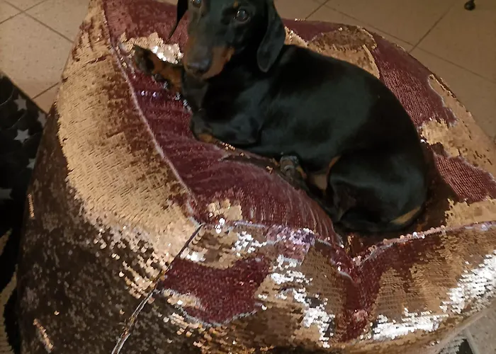 Διαμέρισμα Labandabassottiferrara Monestirolo