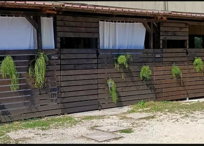 Labandabassottiferrara * Monestirolo